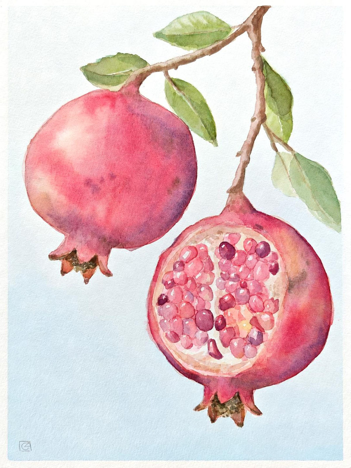 A whole rose-pink pomegranate and an open seed-filled pomegranate beneath green leaves, against a pale blue watercolour wash.