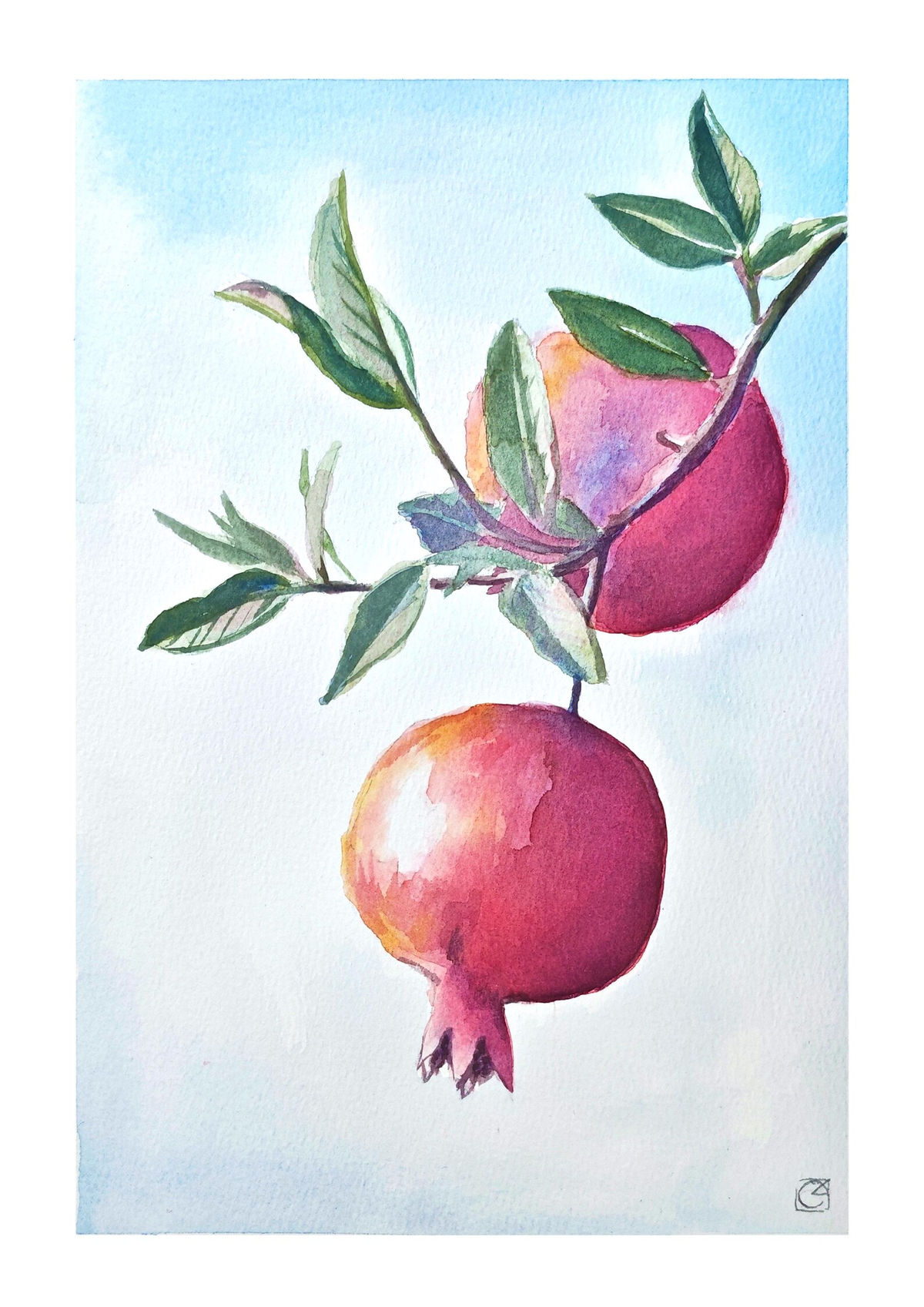 Two red pomegranates on a leafy branch against a pale blue watercolour background.